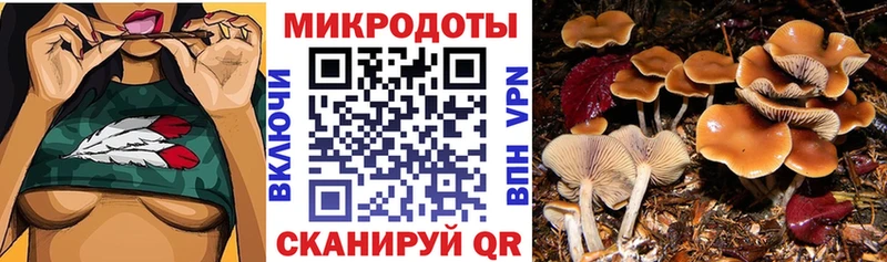 Псилоцибиновые грибы Magic Shrooms  Ужур 